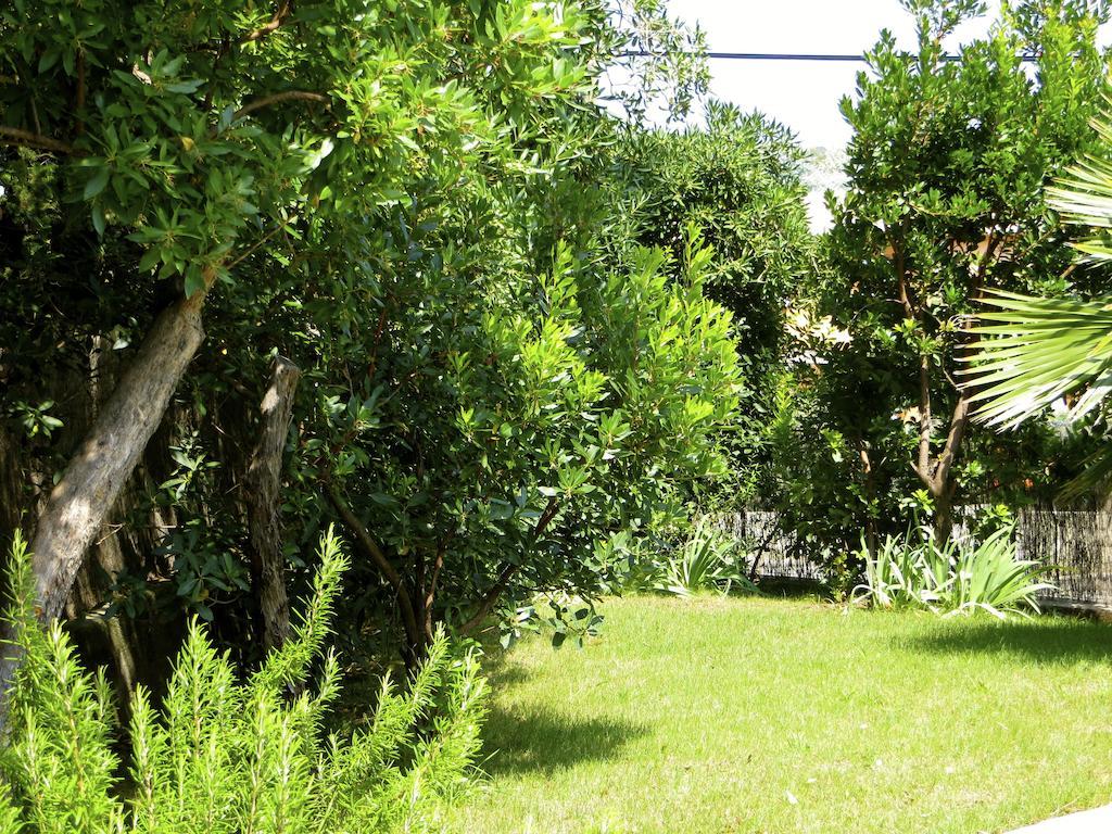 丹斯维拉圣拉菲尔公寓 Saint-Raphaël 客房 照片