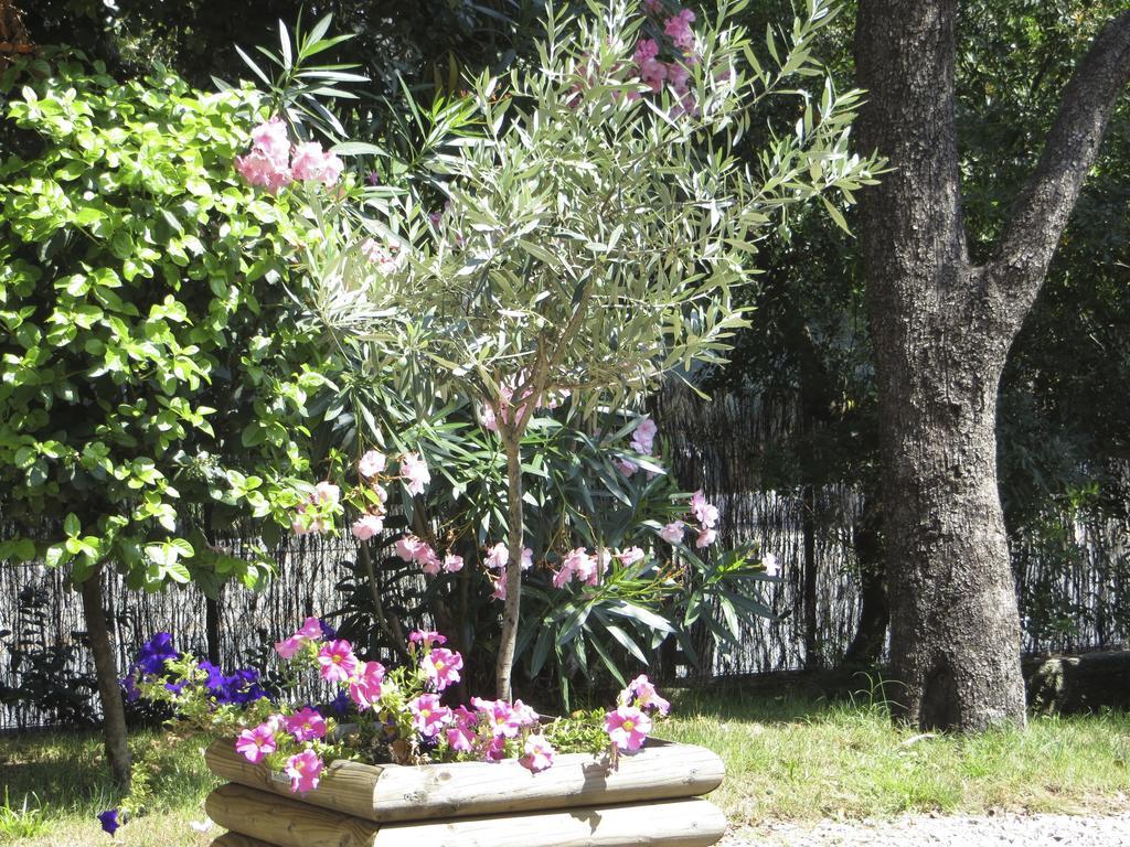 丹斯维拉圣拉菲尔公寓 Saint-Raphaël 客房 照片